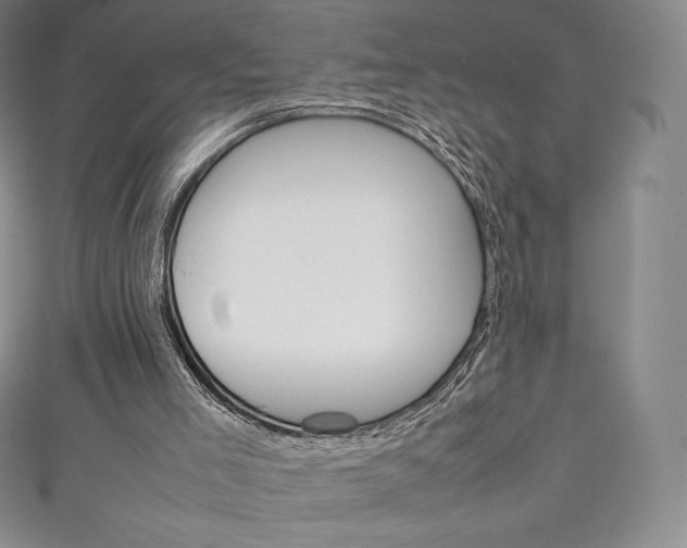 X0000111140005200906301026