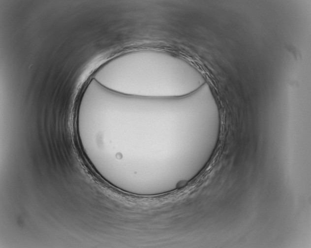 X0000111140006200906301026