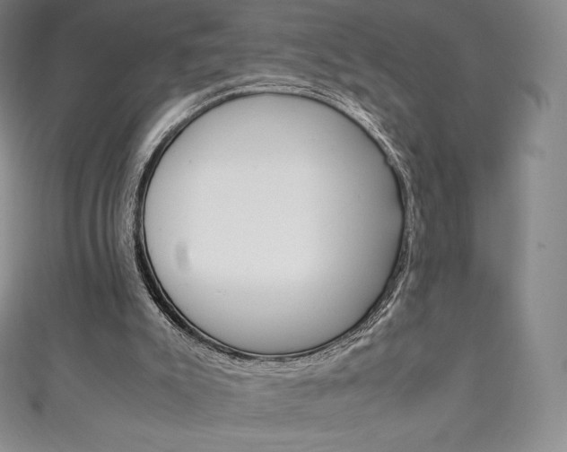 X0000111140007200906301026