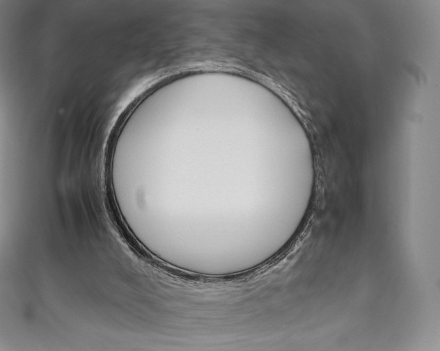 X0000111140008200906301026