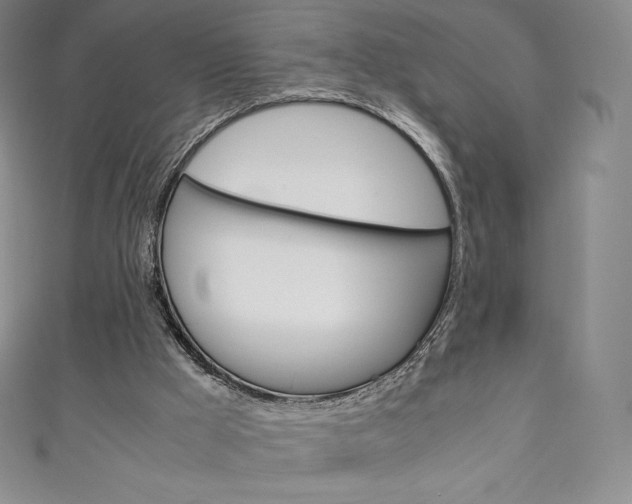 X0000111140009200906301026
