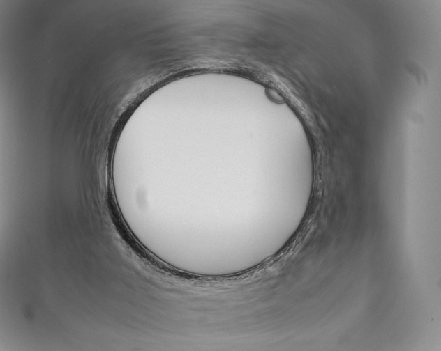 X0000111140011200906301026