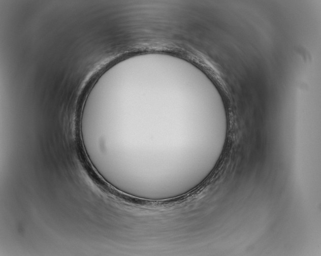 X0000111140012200906301026