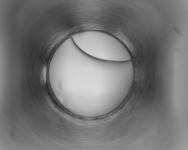 X0000111140014200906301026