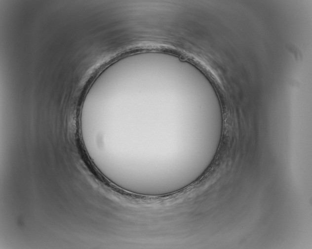 X0000111140015200906301026
