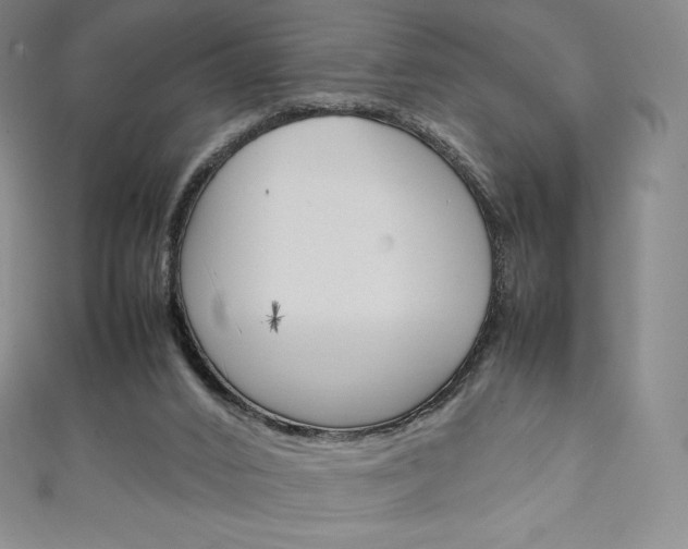 X0000111140016200906301026