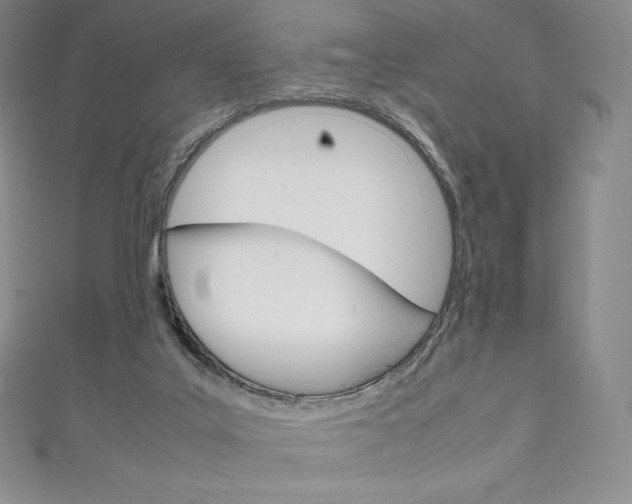 X0000111140019200906301026