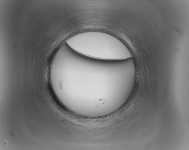 X0000111140023200906301026