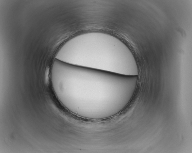 X0000111140024200906301026