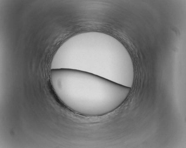 X0000111140031200906301026