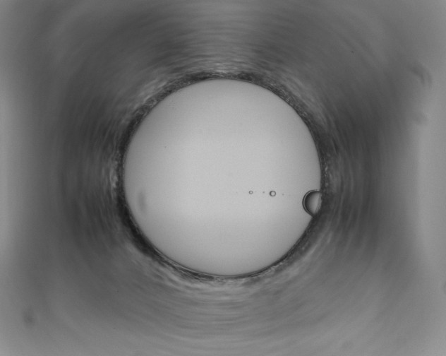 X0000111140032200906301026