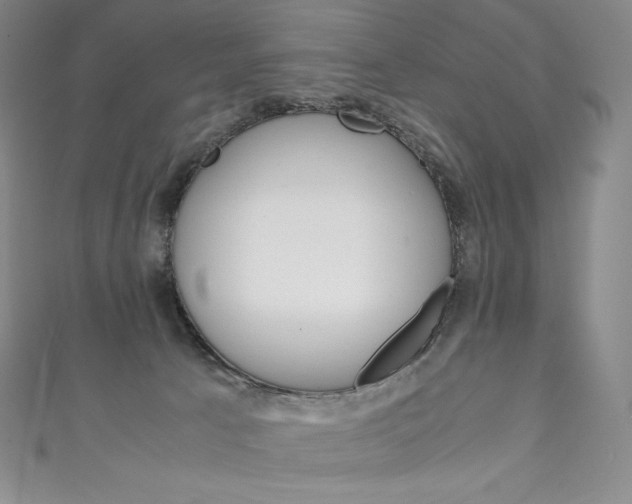 X0000111140033200906301026