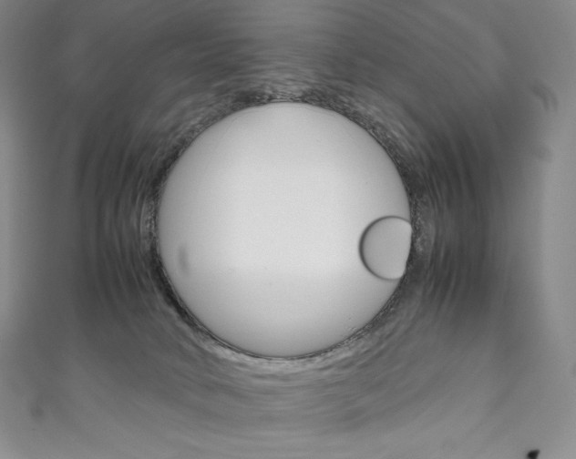 X0000111140034200906301026