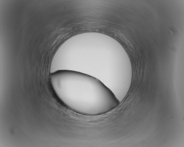 X0000111140035200906301026