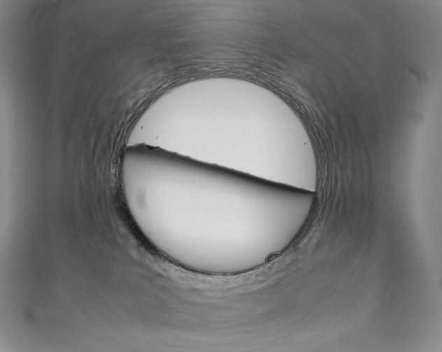 X0000111140039200906301026