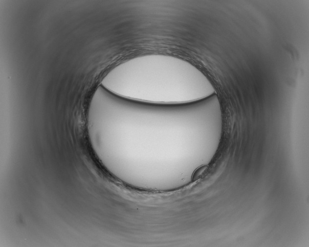 X0000111140040200906301026