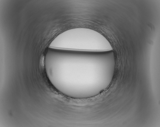 X0000111140041200906301026