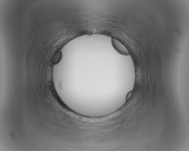 X0000111140043200906301026