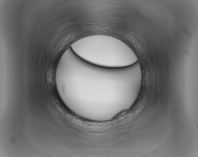 X0000111140044200906301026