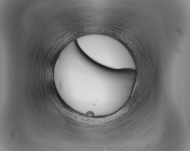 X0000111140048200906301026