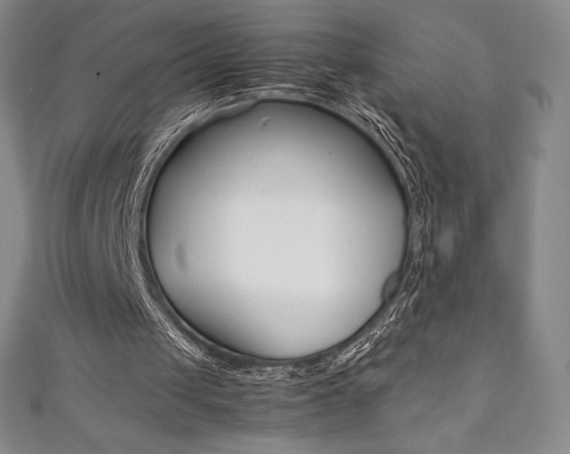 X0000111140049200906301025