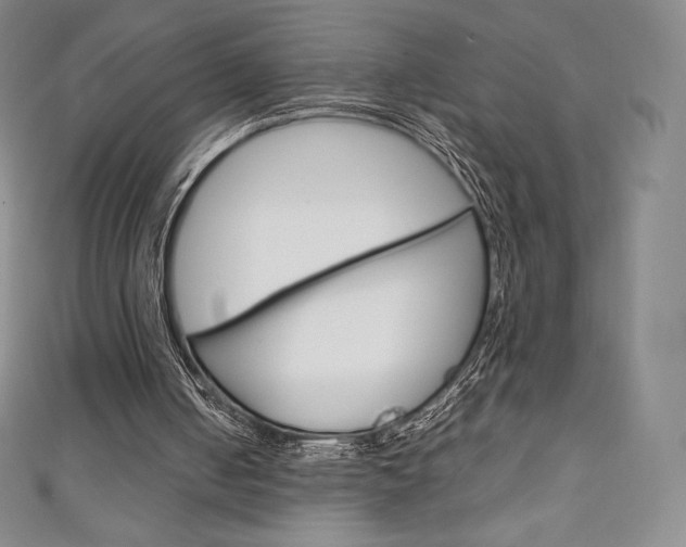 X0000111140050200906301025