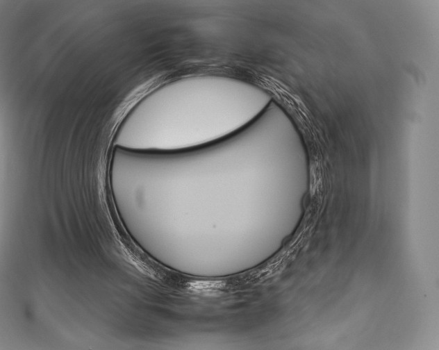 X0000111140051200906301025