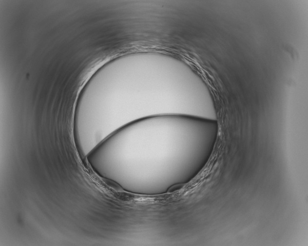 X0000111140052200906301025