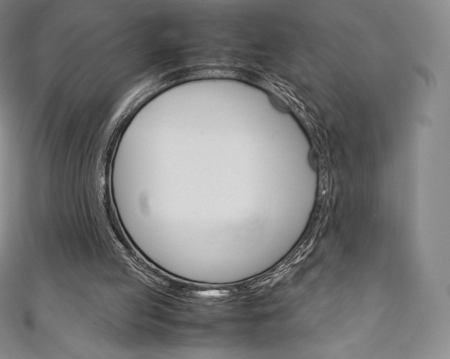 X0000111140053200906301025