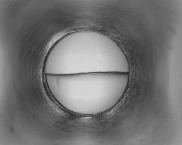 X0000111140054200906301025