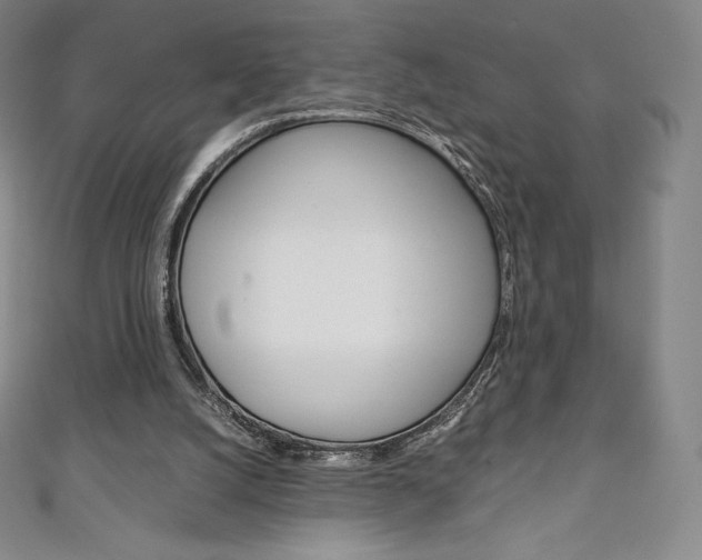 X0000111140056200906301025