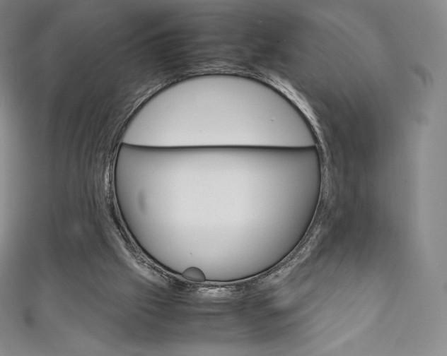 X0000111140057200906301025