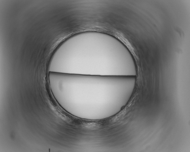 X0000111140058200906301025