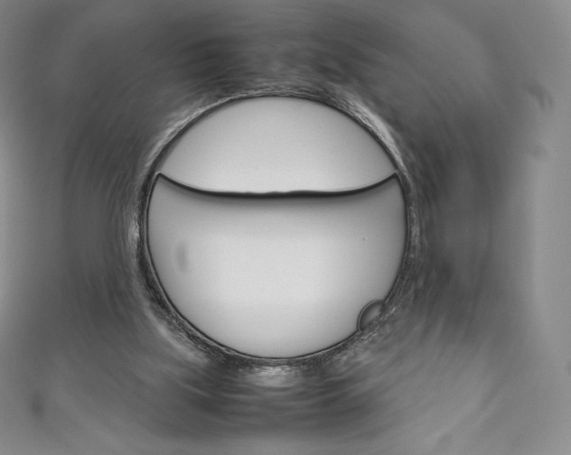 X0000111140059200906301025
