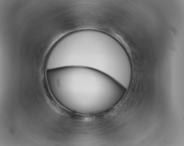 X0000111140060200906301025