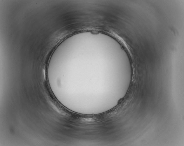 X0000111140061200906301025