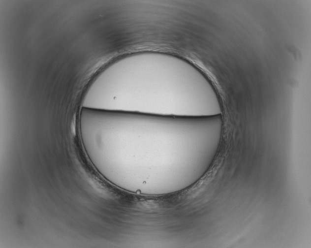 X0000111140062200906301025