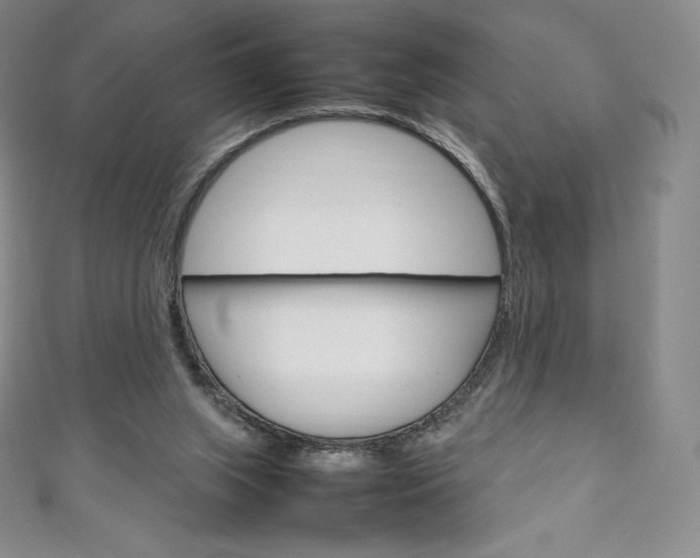 X0000111140063200906301025