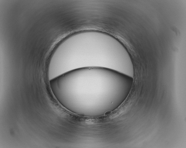 X0000111140064200906301025