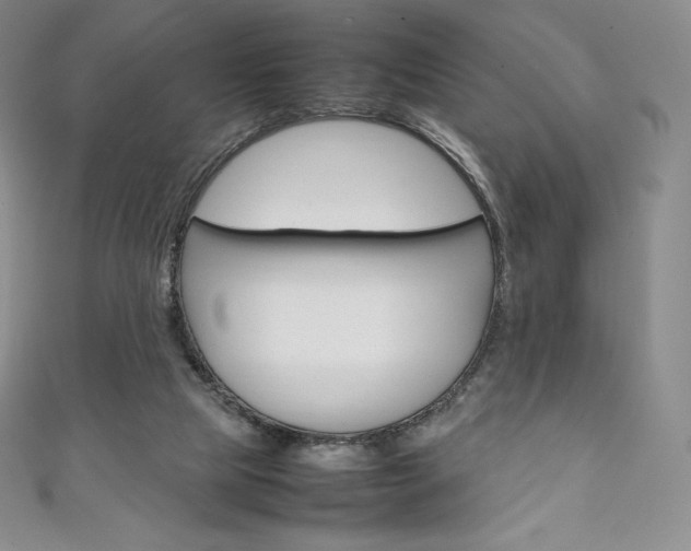 X0000111140065200906301025