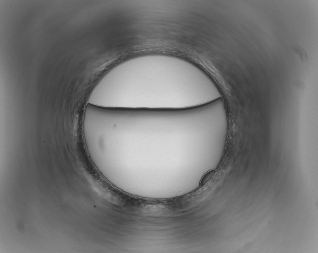 X0000111140066200906301025