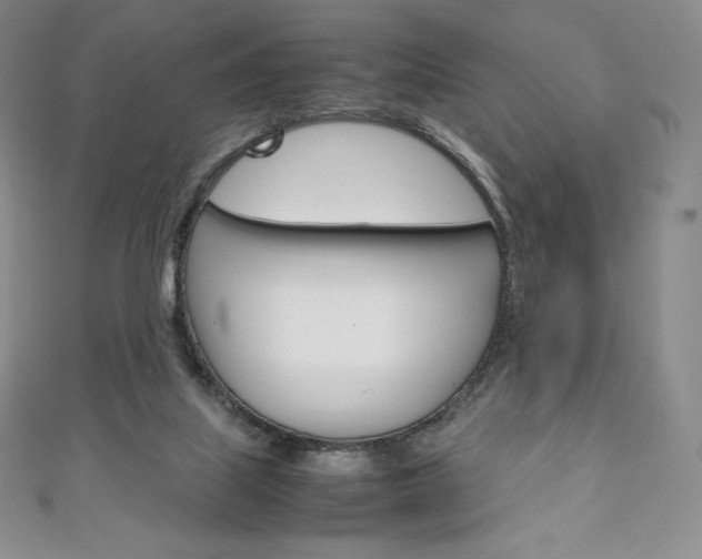 X0000111140067200906301025