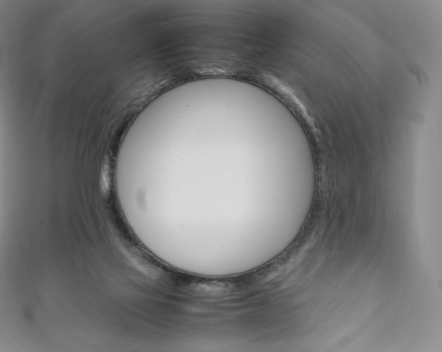 X0000111140069200906301025