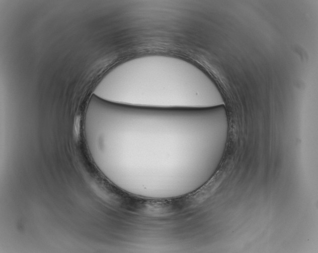 X0000111140070200906301025