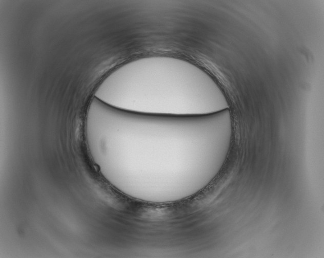 X0000111140071200906301025