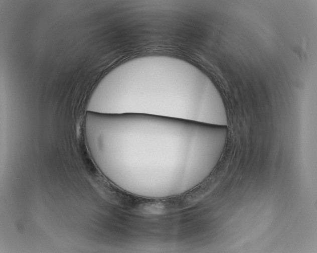 X0000111140075200906301025
