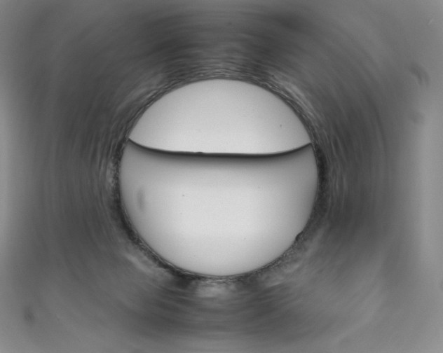 X0000111140077200906301025