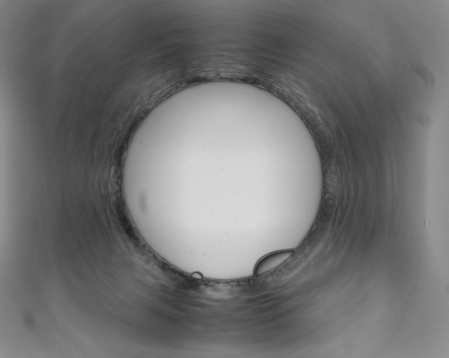X0000111140079200906301026