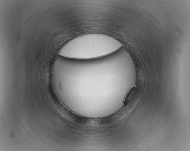 X0000111140080200906301026