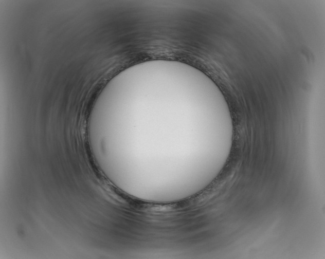 X0000111140081200906301026